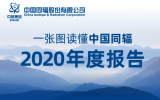 一张图读懂中国同辐2020年度报告