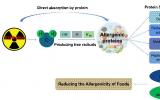 辐照技术：一种消除食物过敏原的有效策略