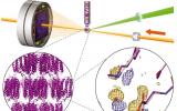 科学杂志：时间分辨X射线晶体学